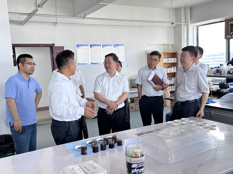 District Governor Shen Yanjun Leads Delegation to Our Company, Showing Concern for Kuwait Project Progress and Future Development